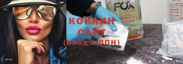 стаф Баксан