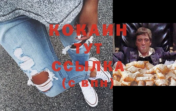 стаф Баксан