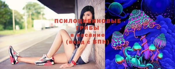 spice Балабаново