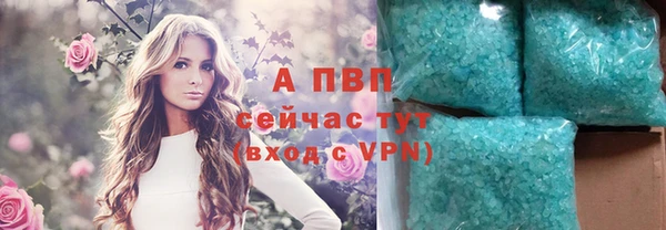 стаф Баксан