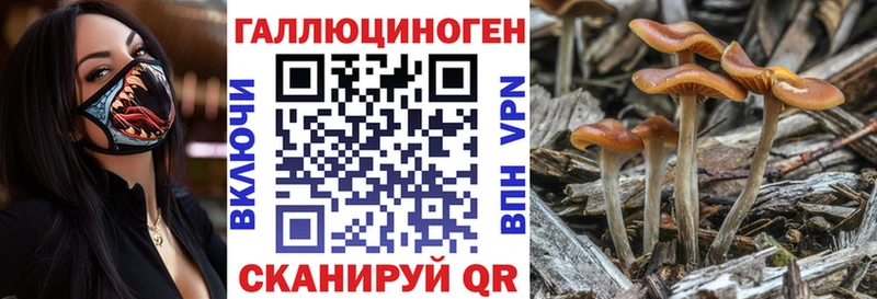 Галлюциногенные грибы мухоморы  Купить закладки  Ермолино 